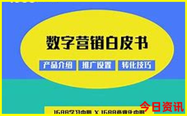 新澳门一肖一码一特一中地址