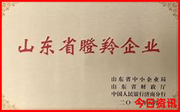 山东适合夏季旅游的景点
